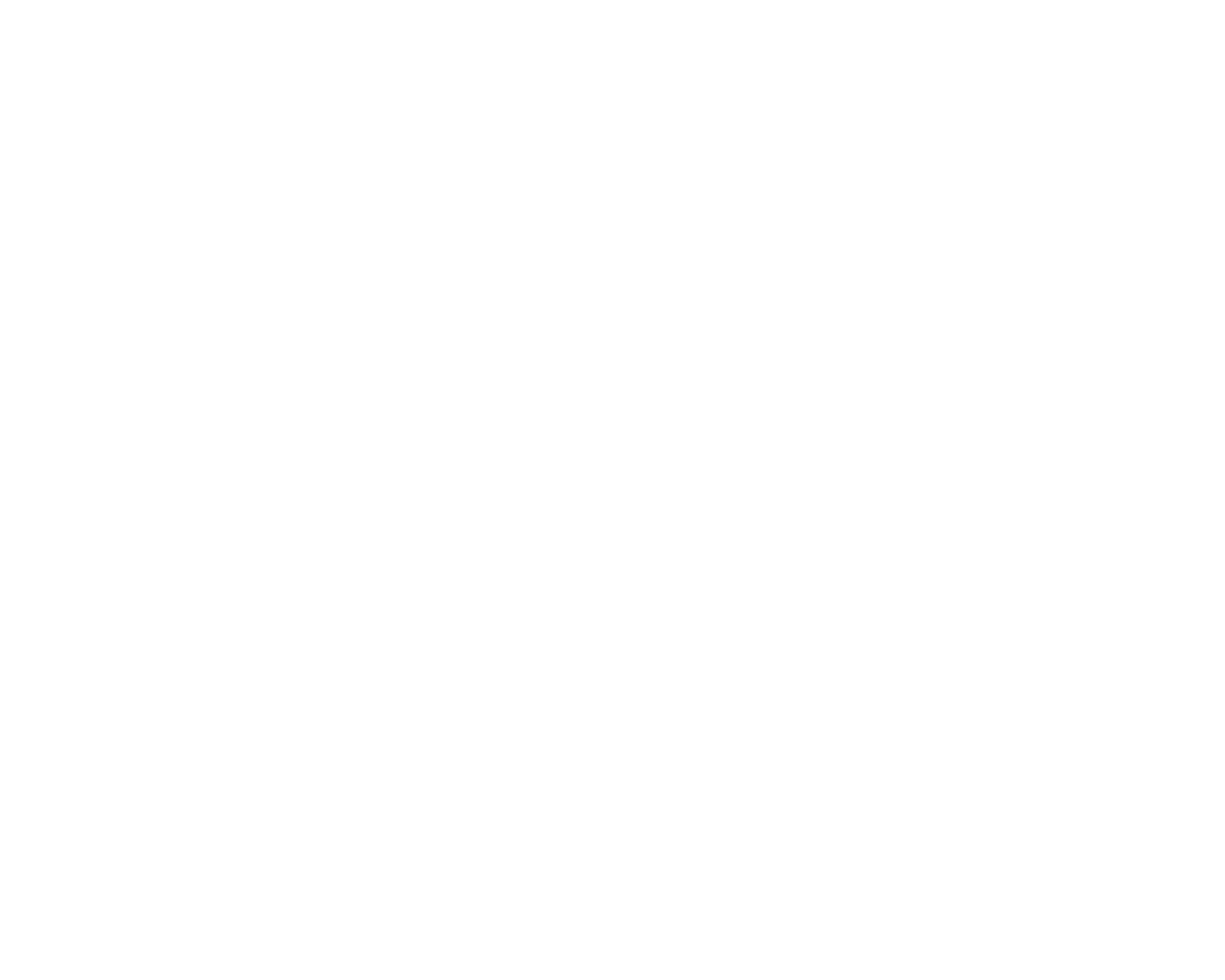 Bison Barriers